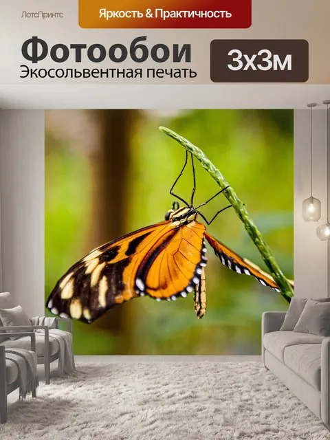Фотообои Бабочка