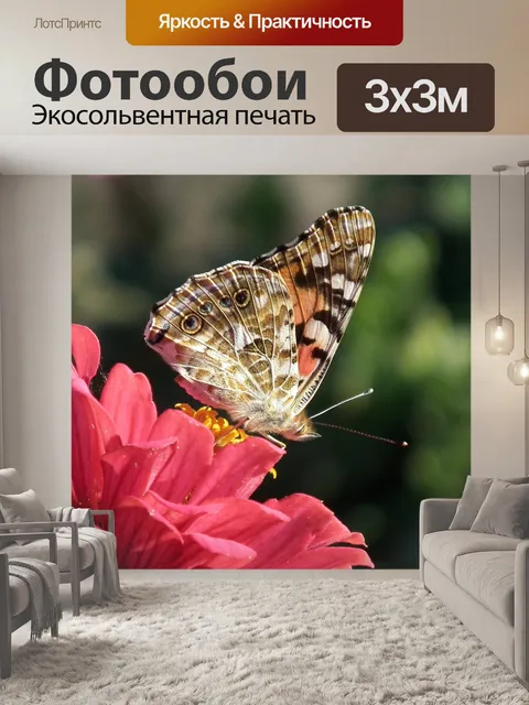 Фотообои Бабочка