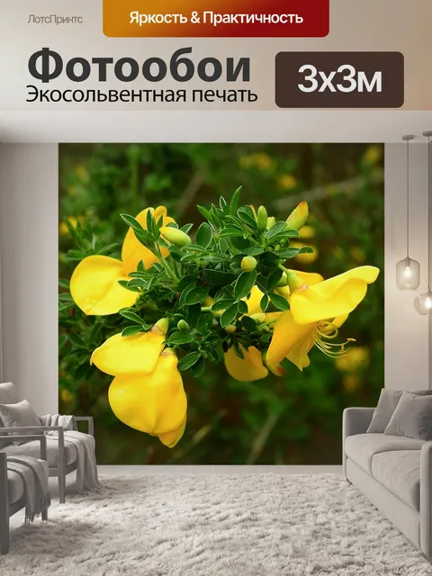 Фотообои Цветы