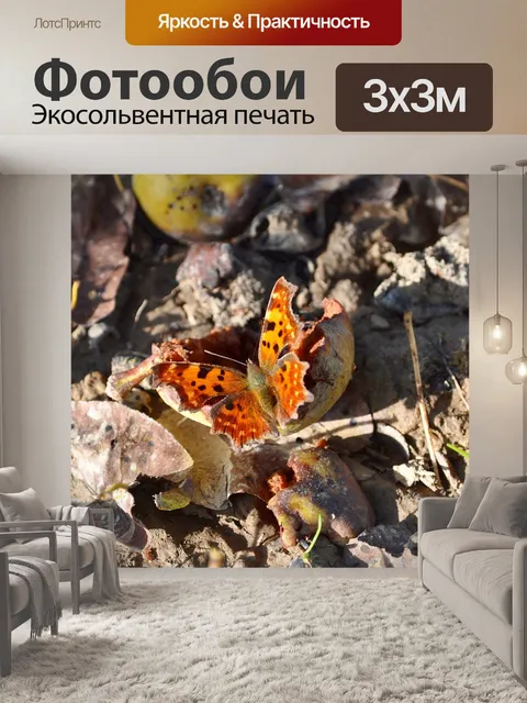 Фотообои Бабочка
