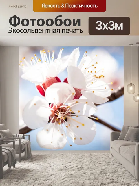 Фотообои Цветок