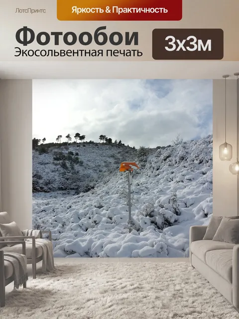Фотообои Снег