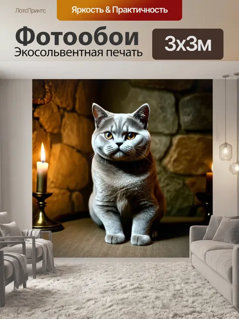 Фотообои сильная поза британской короткошерстной кошки на фоне старины – с каменной стеной и мерцающим светом свечи