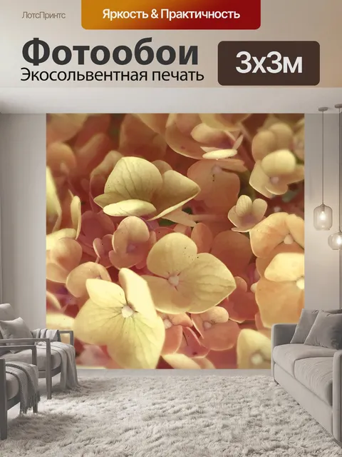 Фотообои Фон цветка гортензии