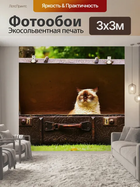 Фотообои Чемодан