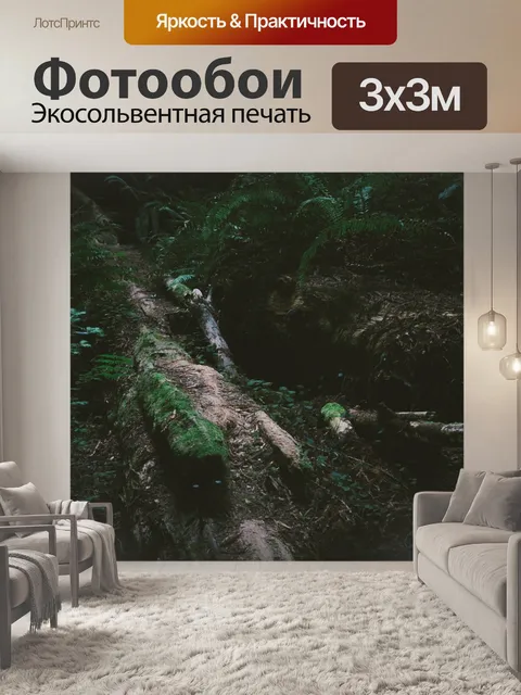 Фотообои Лес