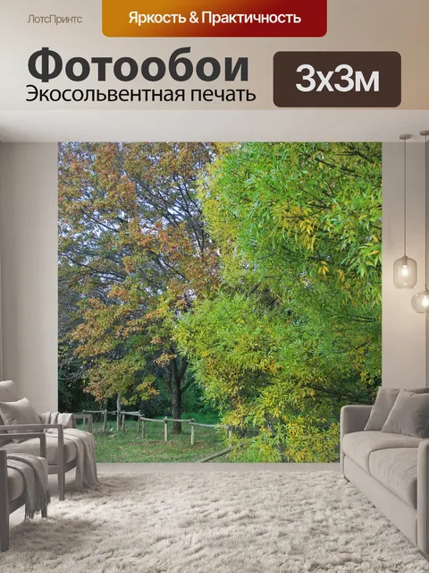 Фотообои изменение цвета на деревьях осенью
