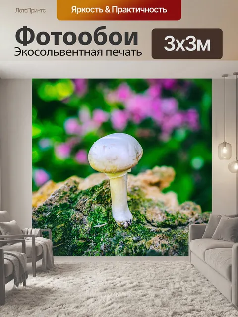 Фотообои Гриб