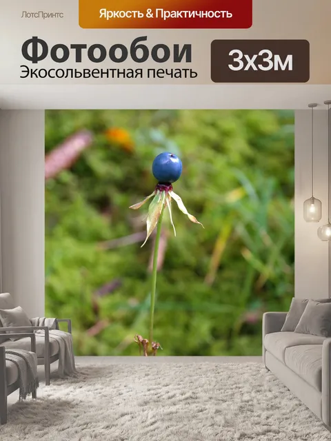 Фотообои Херб париж