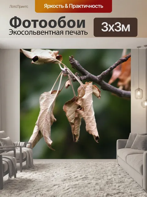 Фотообои Осень