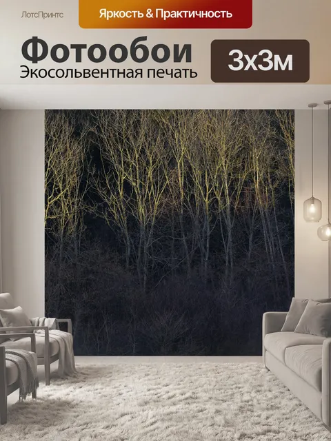 Фотообои Деревья