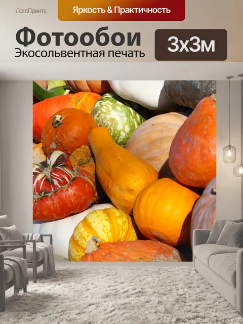 Фотообои фон Красочные тыквы