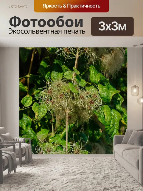 Фотообои Осень