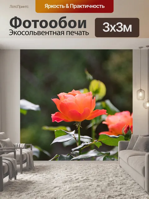 Фотообои Розы