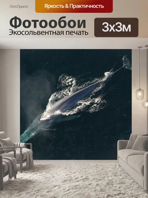 Фотообои Синий кит, голубой кит