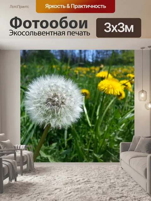 Фотообои Одуванчик