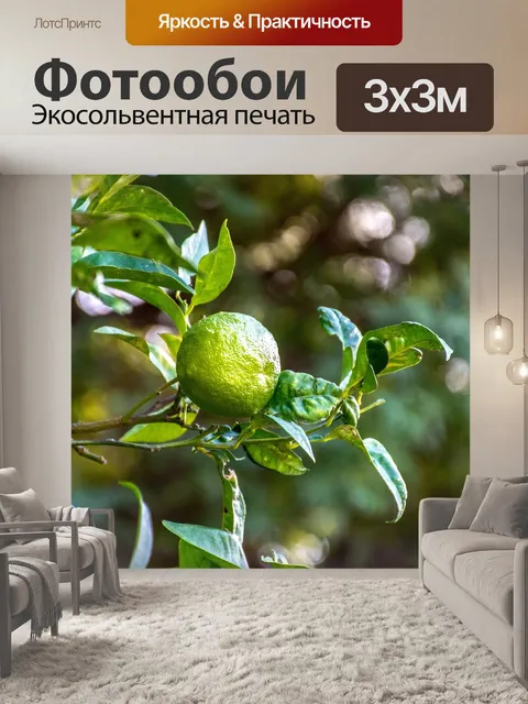 Фотообои Лайм