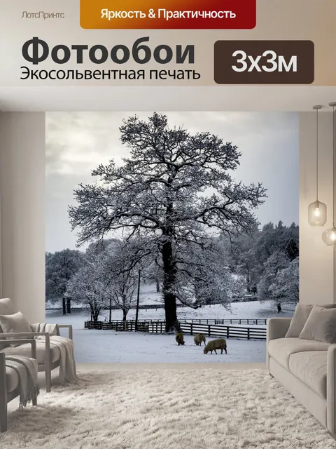 Фотообои Красивый Зимний пейзаж