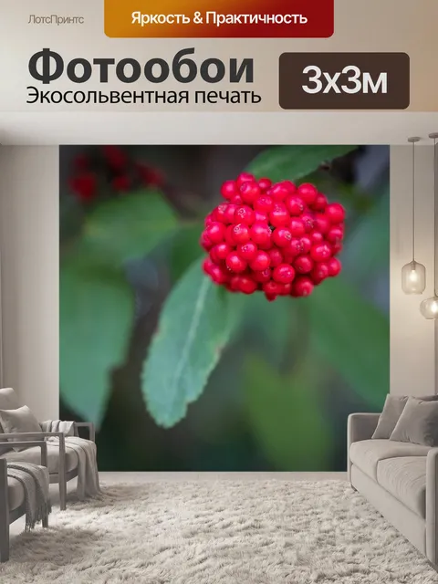 Фотообои Ягода