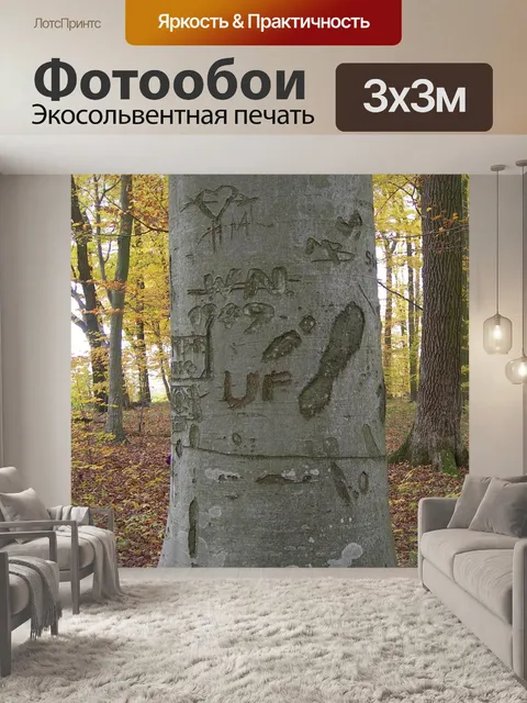 Фотообои Ствол дерева