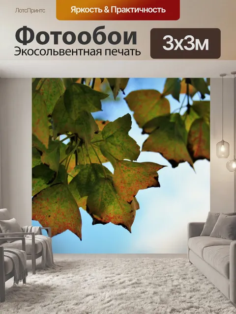 Фотообои листья осени