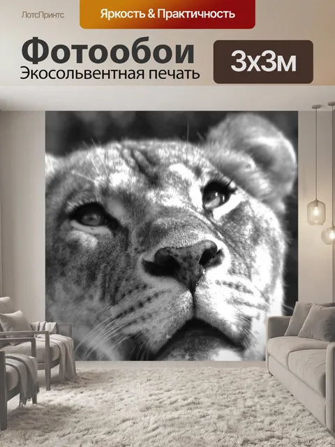 Фотообои Лев