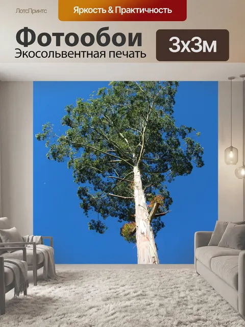 Фотообои Дерево