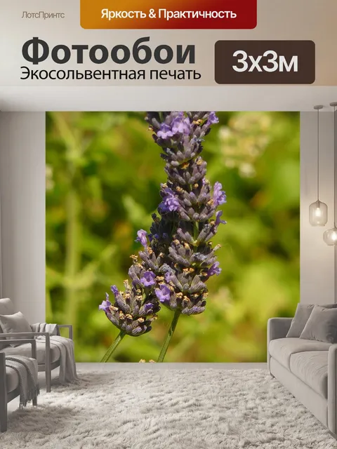 Фотообои Лаванда