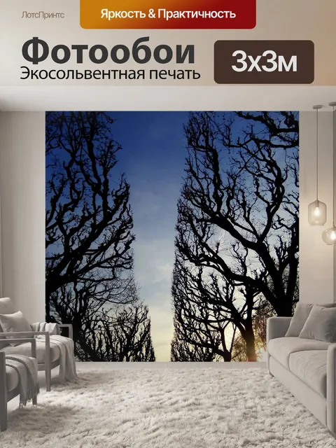 Фотообои Творческий