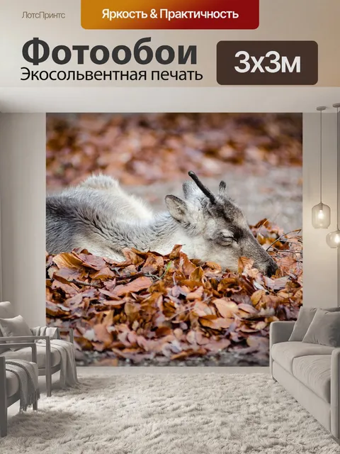 Фотообои Животное