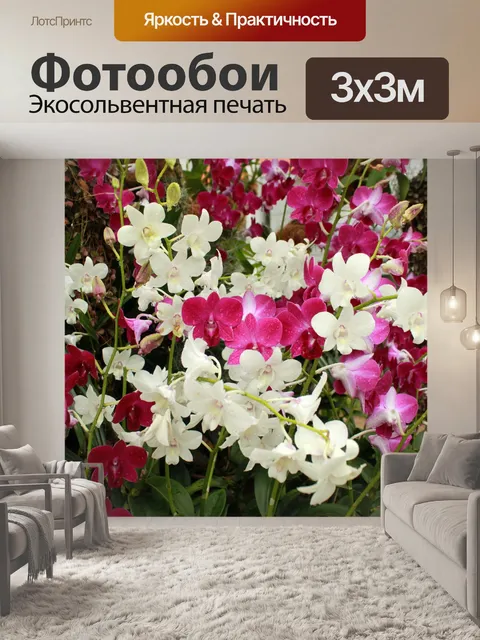 Фотообои Цветок орхидеи цветы