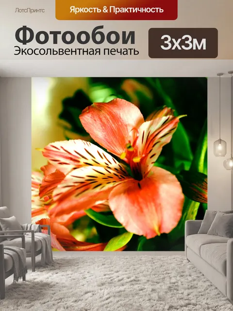 Фотообои оранжевый цветок