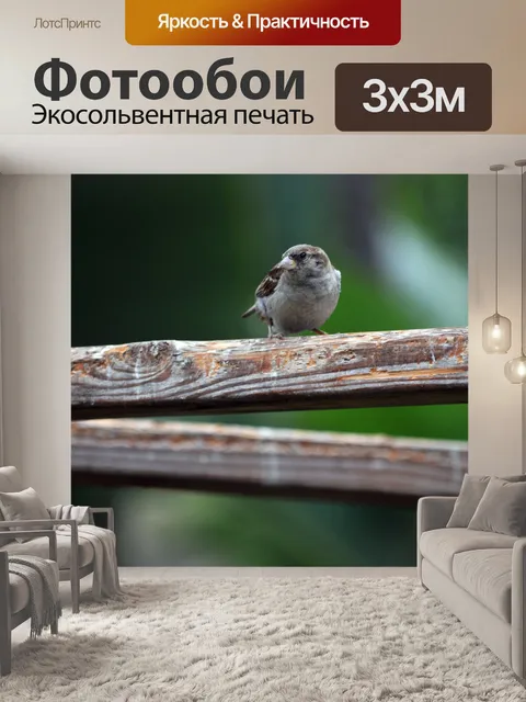 Фотообои Воробей