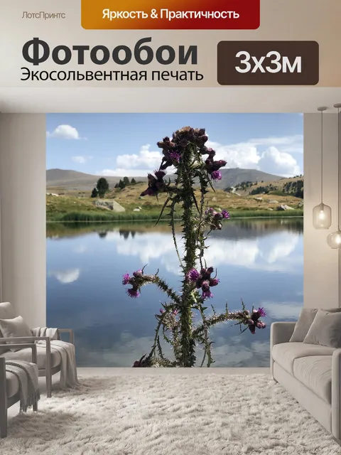 Фотообои Цветы