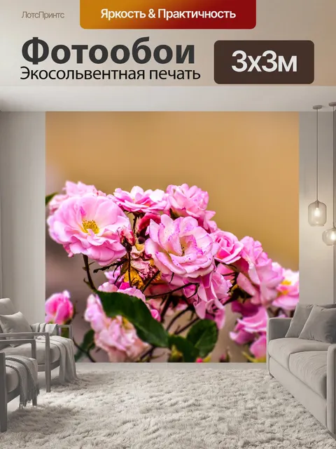 Фотообои Розы