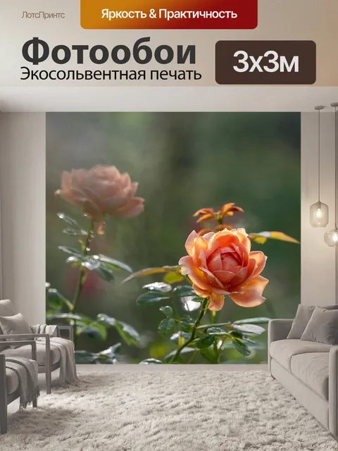 Фотообои Роза