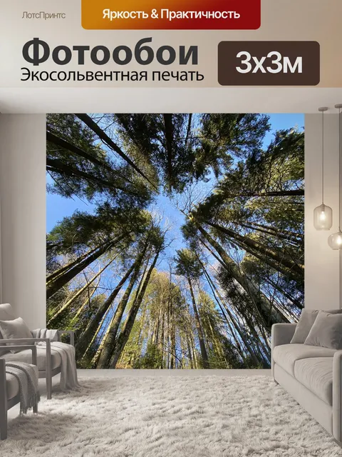 Фотообои Лес на берегу цюрихского озера