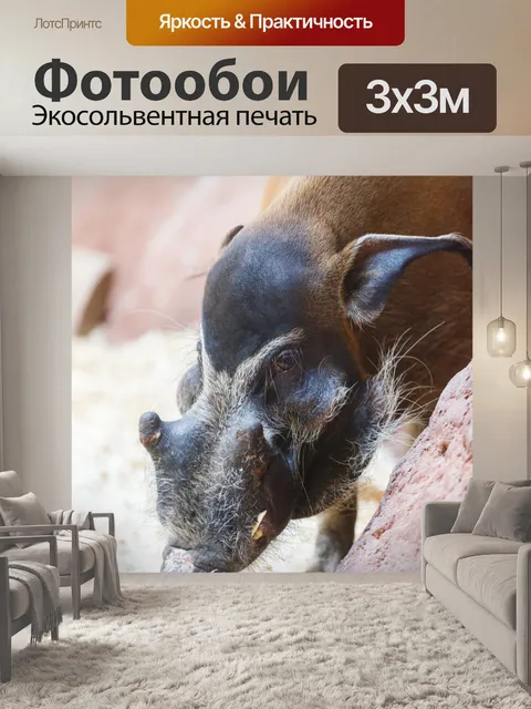 Фотообои Красная река боров