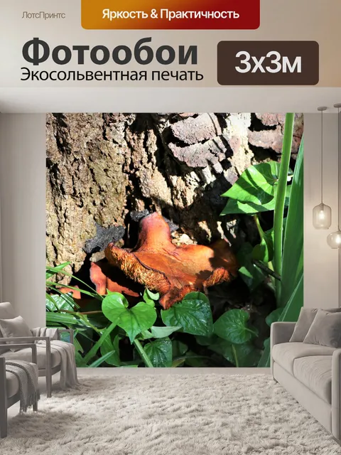 Фотообои Джек-о-Фонарь Гриб и Листья