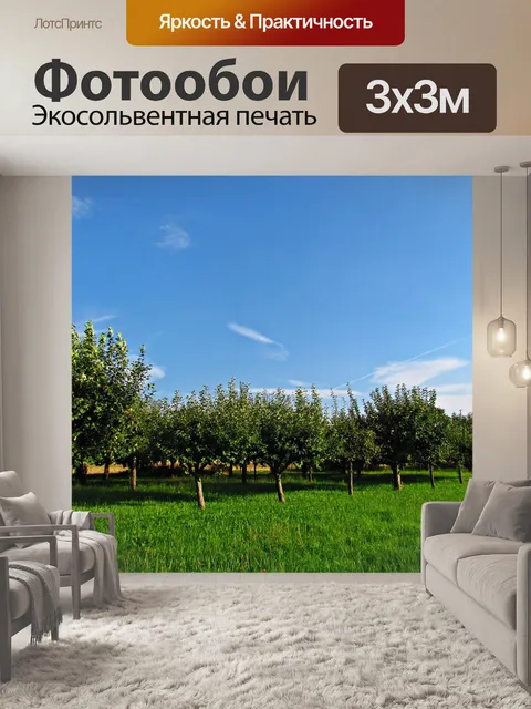 Фотообои Деревья