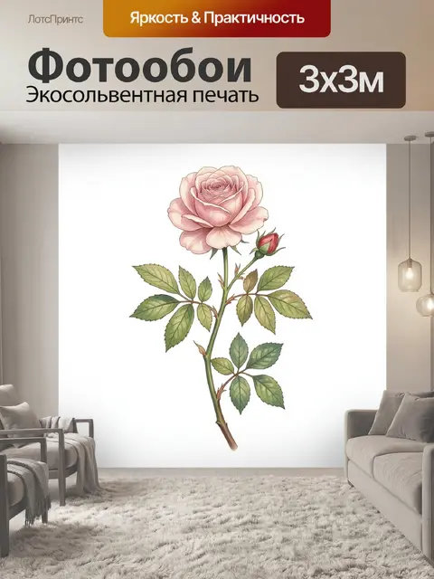 Фотообои Нежная роза с бутоном