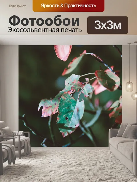 Фотообои Листья