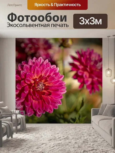 Фотообои Розы
