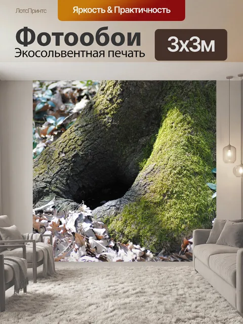 Фотообои Корни и мох