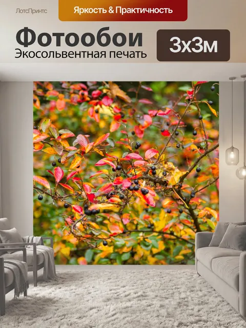 Фотообои осень