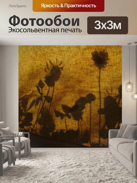 Фотообои Тень