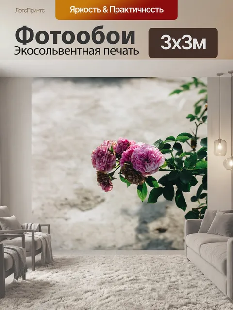 Фотообои Роза