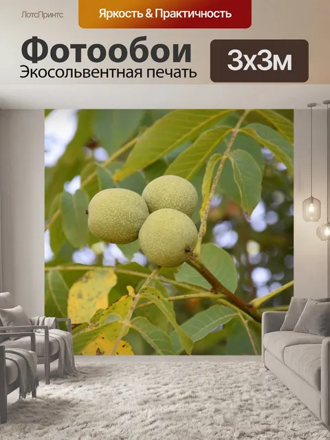 Фотообои Листья