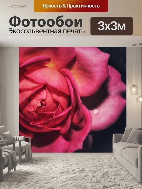 Фотообои Роза