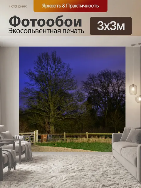 Фотообои Деревья